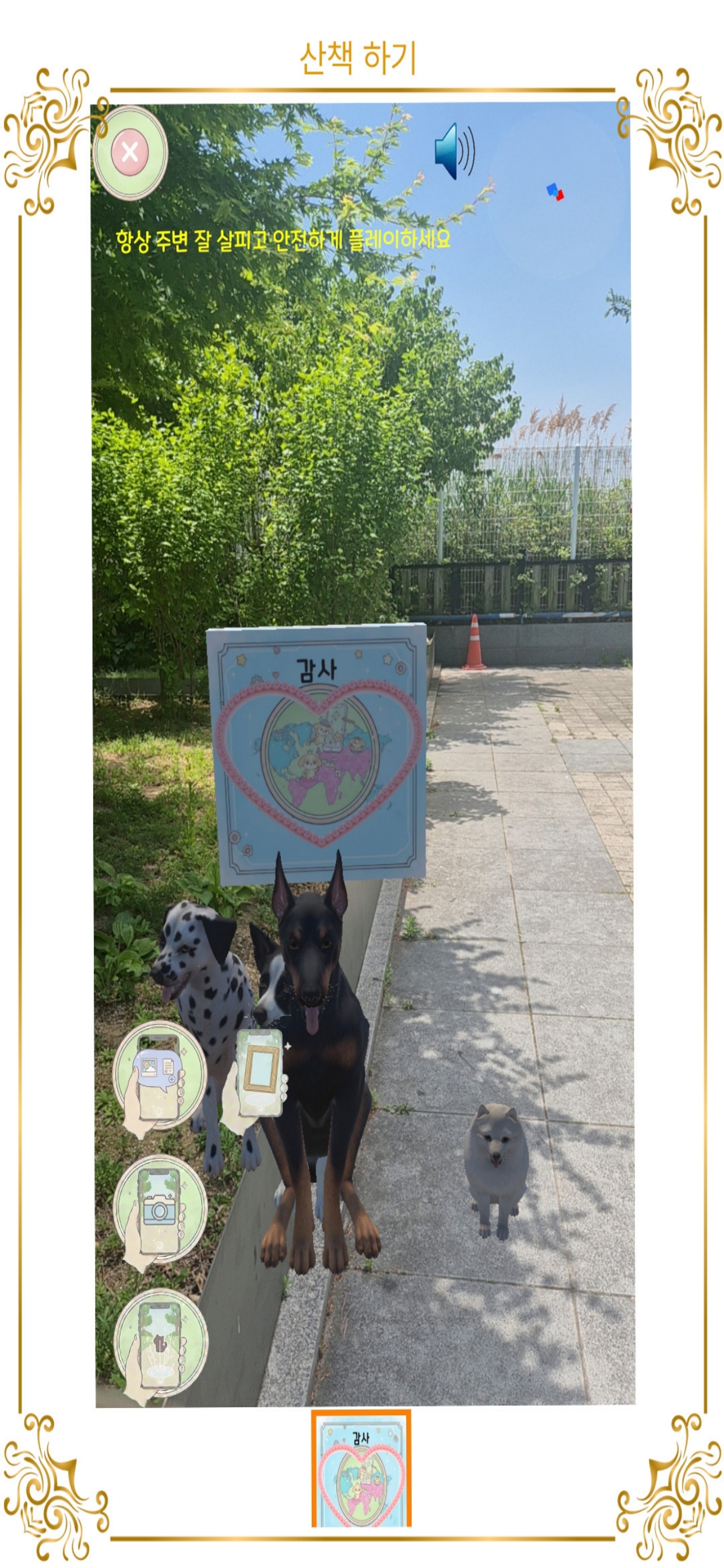 펫과 산책